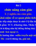 Bài giảng Bài 2: Chức năng cảm giác