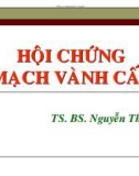 Bài giảng Hội chứng mạch vành cấp - TS. BS Nguyễn Thị Hậu