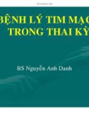 Bài giảng Bệnh lý tim mạch trong thai kỳ - BS. Nguyễn Anh Danh