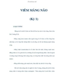 VIÊM MÀNG NÃO (Kỳ 1)