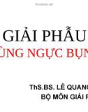 Bài giảng Giải phẫu: Giải phẫu vùng ngực bụng - ThS.BS. Lê Quang Tuyền