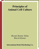 Ebook Principles of animal cell culture: Part 1