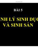 Bài giảng Bài 5: Sinh lý sinh dục và sinh sản