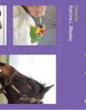 Ebook Pharmacotherapeutics for veterinary dispensing: Part 1