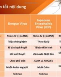 Báo cáo: Bệnh do vi virus trên người lây truyền qua vector muỗi (sốt xuất huyết, viêm não nhật bản, zika)