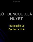 Bài giảng Sốt Dengue xuất huyết - TS. Nguyễn Lô