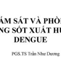 Bài giảng Giám sát và phòng chống sốt xuất huyết Dengue - PGS.TS Trần Như Dương