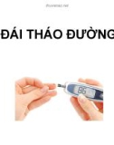 Bài giảng Đái tháo đường (42 trang)