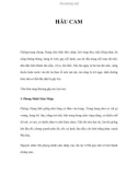 HẦU CAM