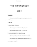 VẾT THƯƠNG NGỰC (Kỳ 1)