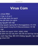 Bài giảng CHẨN ĐOÁN, XỬ TRÍ VÀ PHÒNG LÂY NHIỄM CÚM A (H5N1) Ở NGƯỜI part 3