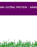 Bài giảng Thiếu dinh dưỡng protein - năng lượng