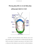 Phương pháp điều trị và các biện pháp phòng ngừa bệnh lý ở lưỡi