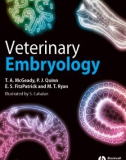 Ebook Veterinary embryology: Part 1