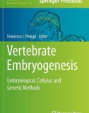 Ebook Vertebrate embryogenesis - Embryological, cellular, and genetic methods: Part 1