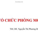 Bài giảng Gây mê hồi sức: Tổ chức phòng mổ - ThS. BS. Nguyễn Thị Phương Dung