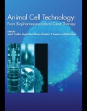 Ebook Animal cell technology, from biopharmaceuticals to gene therapy: Part 1