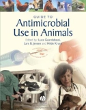 Ebook Guide to antimicrobial use in animals: Part 1