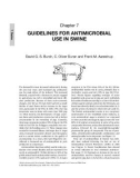 Ebook Guide to antimicrobial use in animals: Part 2