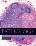 Ebook Pathology, a text, atlas and review of histopathology (6th edition): Part 1