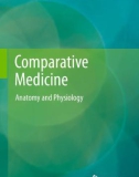 Ebook Comparative medicine - Anatomy and physiology: Part 1