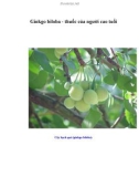 Ginkgo biloba - thuốc của người cao tuổi