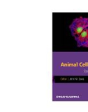 Ebook Animal cell culture - Essential methods: Part 1