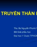 Dẫn truyền thần kinh