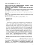 Evaluating photosynthetic performance of transgenic soybean harboring CKX13 under salinity conditions