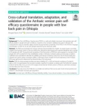 Cross-cultural translation, adaptation, and validation of the Amharic version pain selfefficacy questionnaire in people with low back pain in Ethiopia