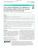 Cross-cultural adaptation and validation of the Slovenian version of the Core outcome measures index for low back pain