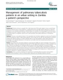 Management of pulmonary tuberculosis patients in an urban setting in Zambia: a patient's perspective