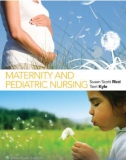 Ebook Maternity and pediatric nursing: Part 1