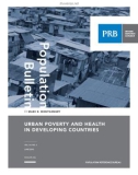 Urban Poverty and Health in developing Countries