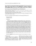 Isolation of α-mangostin from mangosteen (Garcinia mangostana L.) peels and evaluation of its inhibitory activity toward α-glucosidase and α-amylase in the combination with acarbose