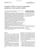 Cognitive effects of acute tryptophan depletion in the healthy elderly