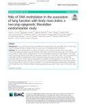 Role of DNA methylation in the association of lung function with body mass index: A two-step epigenetic Mendelian randomisation study