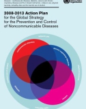 2008-2013 Action Plan for the Global Strategy for the Prevention and Control of Noncommunicable Diseases