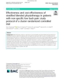 Effectiveness and cost-effectiveness of stratified blended physiotherapy in patients with non-specific low back pain: Study protocol of a cluster randomized controlled trial