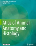 Ebook Atlas of animal anatomy and histology: Part 1