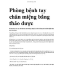 Phòng bệnh tay chân miệng bằng thảo dược