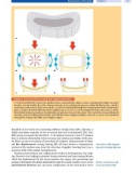 Spinal Disorders: Fundamentals of Diagnosis and Treatment Part 8