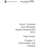 South Tyneside Joint Strategic Needs Assessment 2012 Data Annex