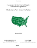 Nurses and Environmental Health: Success Through Action