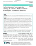 Surface damage of bovine articular cartilage-off-bone: The effect of variations in underlying substrate and frequency