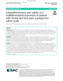 Comprehensiveness and validity of a multidimensional assessment in patients with chronic low back pain: A prospective cohort study