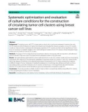 Systematic optimization and evaluation of culture conditions for the construction of circulating tumor cell clusters using breast cancer cell lines