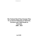 The Plan To Accelerate Reduction of Maternal, Newborn and Child Deaths in Tanzania 2008 - 2015