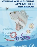 Ebook Cellular and molecular approaches in fish biology: Part 1