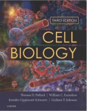 Ebook Cell biology (3rd edition): Part 1